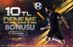 1606155298931.png 1606155298931.png