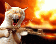 1395914883-2013101811-o.gif 1395914883-2013101811-o.gif