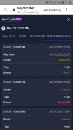 Screenshot_20221023-213551_Samsung Internet.jpg