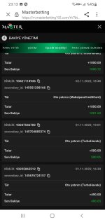 Screenshot_20221227-231355_Samsung Internet.jpg