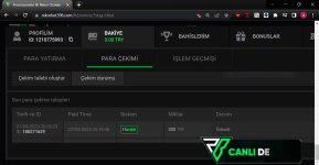 Ekran Alıntısı.PNG