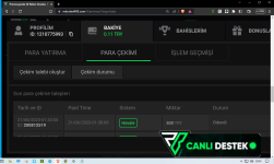 Ekran Alıntısı.PNG