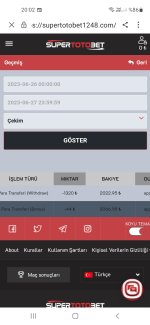 Screenshot_20230627-200214_Samsung Internet.jpg
