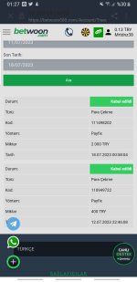 Screenshot_20230718-012753_Samsung Internet.jpg