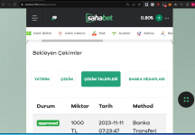 Ekran Alıntısı.PNG