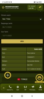 Screenshot_2023-11-13-17-26-52-919_com.android.chrome.jpg Screenshot_2023-11-13-17-26-52-919_com.android.chrome.jpg