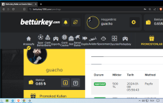 Ekran Alıntısı.PNG