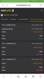 Screenshot_20240110-020334_Samsung Internet.jpg