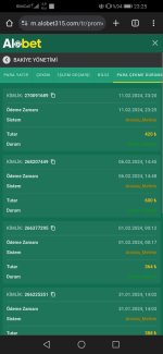 Screenshot_20240211_232547_com.android.chrome.jpg Screenshot_20240211_232547_com.android.chrome.jpg