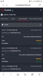 Screenshot_20240303-202525_Samsung Internet.jpg