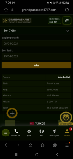 Screenshot_20240415_170633_Samsung Internet.png