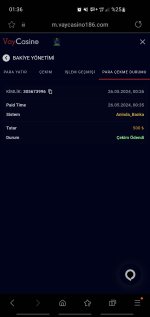 Screenshot_20240526_013602_Samsung Internet.jpg