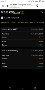 Ekran görüntüleri_20240615-040410.png