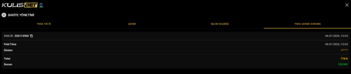 Ekran görüntüsü 2024-07-04 155831.png