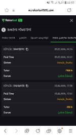 Screenshot_20240709-225708_Samsung Internet.jpg