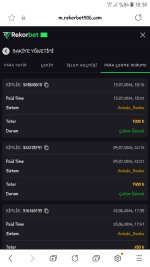 Screenshot_20240713-183002_Samsung Internet.jpg