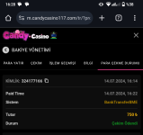 Screenshot_20240714-162814 (1).png