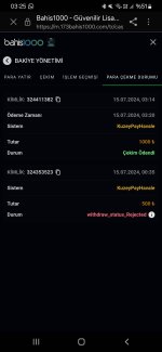 Screenshot_20240715_032504_Samsung Internet.jpg