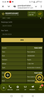 Screenshot_20240806-182800.png Screenshot_20240806-182800.png