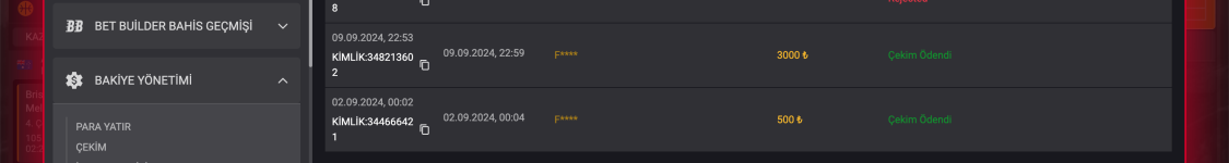 Ekran Resmi 2024-09-10 11.46.28 1.png