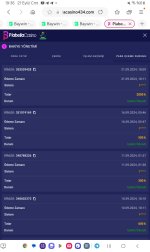 Screenshot_20240921_193633_Samsung Internet.jpg