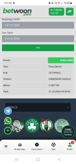 Screenshot_20241021_033649_Samsung Internet.jpg