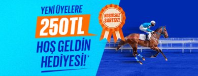 1732540637019.jpeg 1732540637019.jpeg