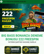 1732735029386.png 1732735029386.png