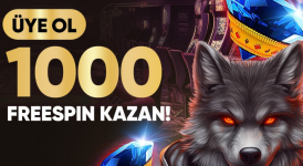 1732911232914.png 1732911232914.png