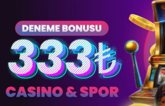 1733490784920.png 1733490784920.png