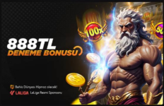 1733913698365.png 1733913698365.png