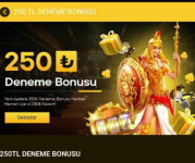 1736020719399.png 1736020719399.png