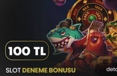 1736528095231.png 1736528095231.png