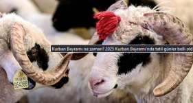 1738144378216.png 1738144378216.png