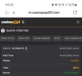 Screenshot_20250209_043053_Samsung Internet.jpg