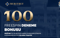 1739133551925.png 1739133551925.png