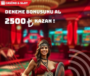 1739391138345.png 1739391138345.png