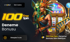 1740475006112.png 1740475006112.png