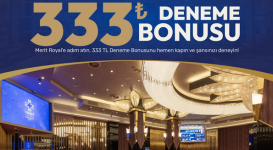 1740652573334.png 1740652573334.png