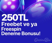 1741881520736.png 1741881520736.png