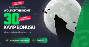 1742595289149.png 1742595289149.png