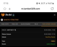Screenshot_20250330_171314_Samsung Internet.jpg