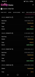 Screenshot_20250619_040446_Samsung Internet.jpg