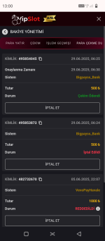 Screenshot_20250629-130053.png Screenshot_20250629-130053.png