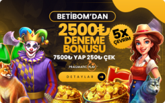 1751315317105.png 1751315317105.png