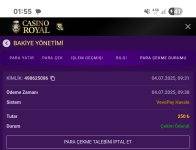 Screenshot_20250705_015537_Samsung Internet.jpg