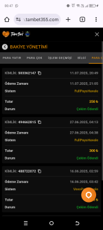 Screenshot_20250712-004717.png Screenshot_20250712-004717.png