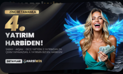 1753558211174.png 1753558211174.png