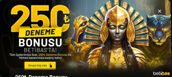 1753654372221.png 1753654372221.png