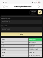 Screenshot_20250819_161549_Samsung Internet.jpg